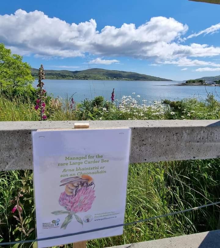דירות קאסלטאונבר Escape To The Beara Peninsula. מראה חיצוני תמונה
